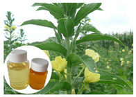 महिला रजोनिवृत्ति प्राकृतिक आहार की खुराक GLA 10% पीला शाम Primrose तेल