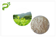 एंटी ऑक्सीकरण ईजीसीजी ग्रीन टी एक्स्ट्रैक्ट, फार्मास्युटिकल ग्रेड प्राकृतिक हरी चाय निकालें