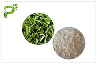एंटी-कैरीज़ प्राकृतिक आहार की खुराक, टूथपेस्ट ईजीसीजी हरी चाय निकालें सीएएस 98 9 51 5