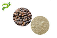 प्राकृतिक प्रसाधन सामग्री संघटक कमीलया Oleifera एबेल बीज निकालें चाय Saponins पायसीकारकों के लिए