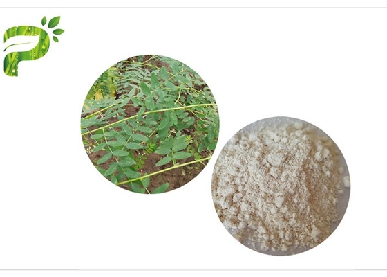 सीएएस 84687 43 4 एस्ट्रैग्लस मेम्ब्रेनिसस निकालें एस्ट्रैगलोसाइड IV 98% एंटी एजिंग