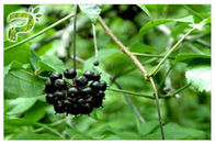 शुद्ध हर्बल प्राकृतिक पौधा अर्क साइबेरियाई जिनसेंग एलेउथेरोकोकस पाउडर लो ब्लड प्रेशर