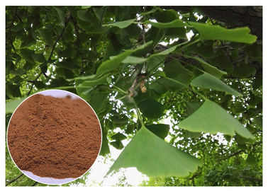 प्राकृतिक पौधे का अर्क हृदय रोगों को रोकें जिन्को बिलोबा लीफ एक्सट्रैक्ट ईपी ग्रेड