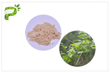 Ampelopsis Grossedentata निकालने के लिए Dihydromyricetin / DHM हैंगओवर Syndromes CAS 20000 0 0 के लिए